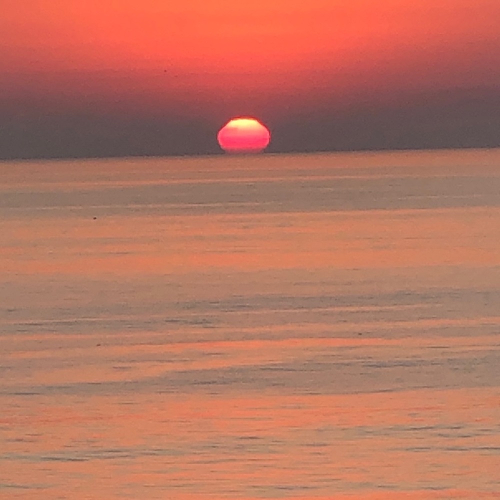 Meet your Posher, Laimis